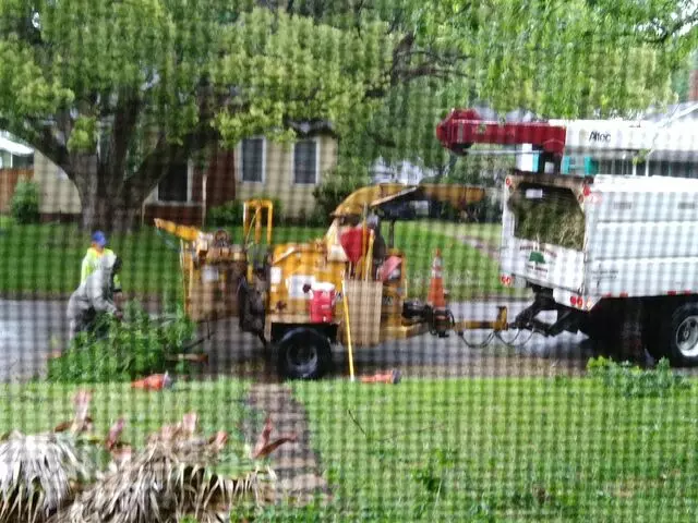 Above and Beyond Tree Services
