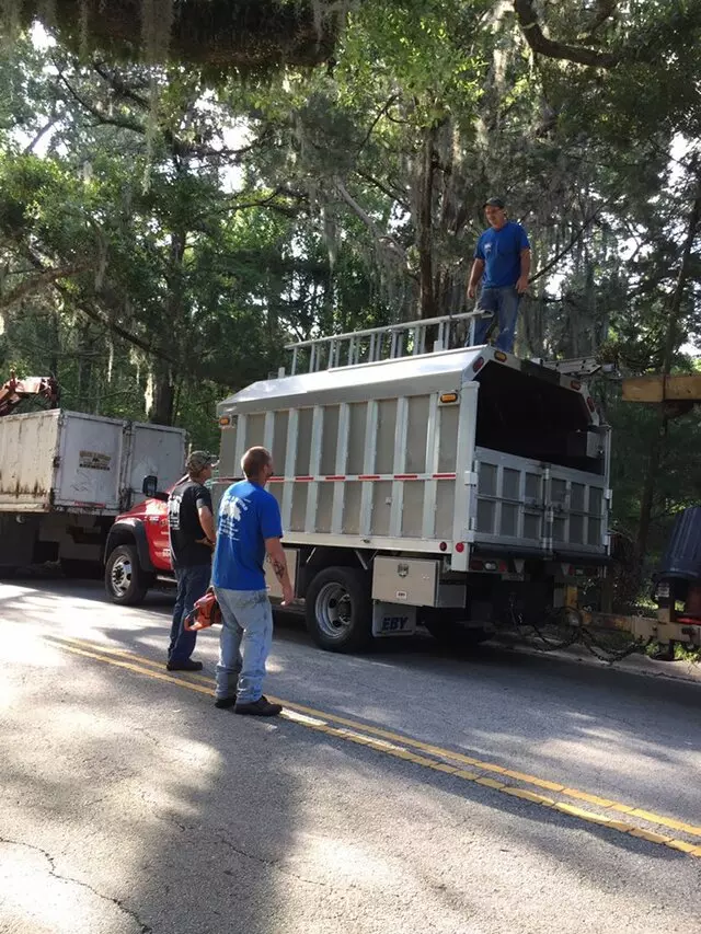 Above and Beyond Tree Services