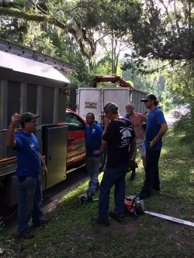 Above and Beyond Tree Services