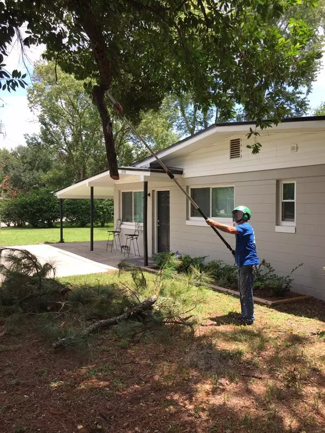 Above and Beyond Tree Services