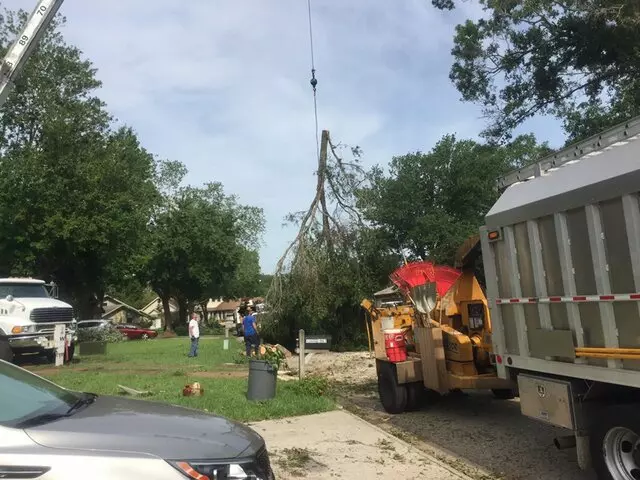 Above and Beyond Tree Services