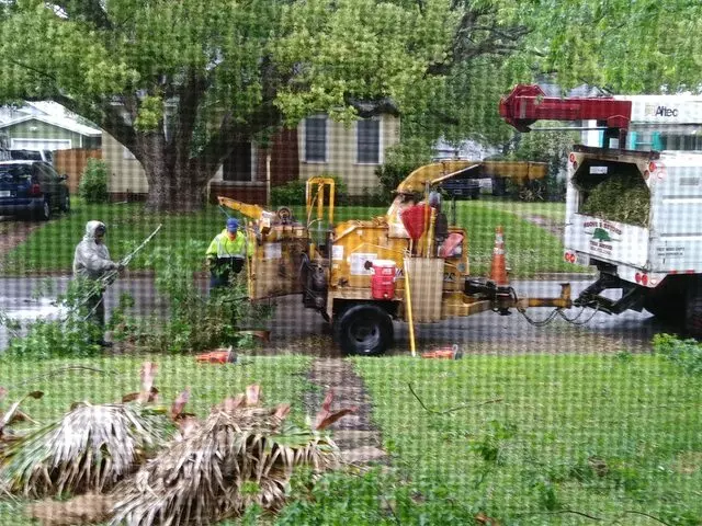 Above and Beyond Tree Services