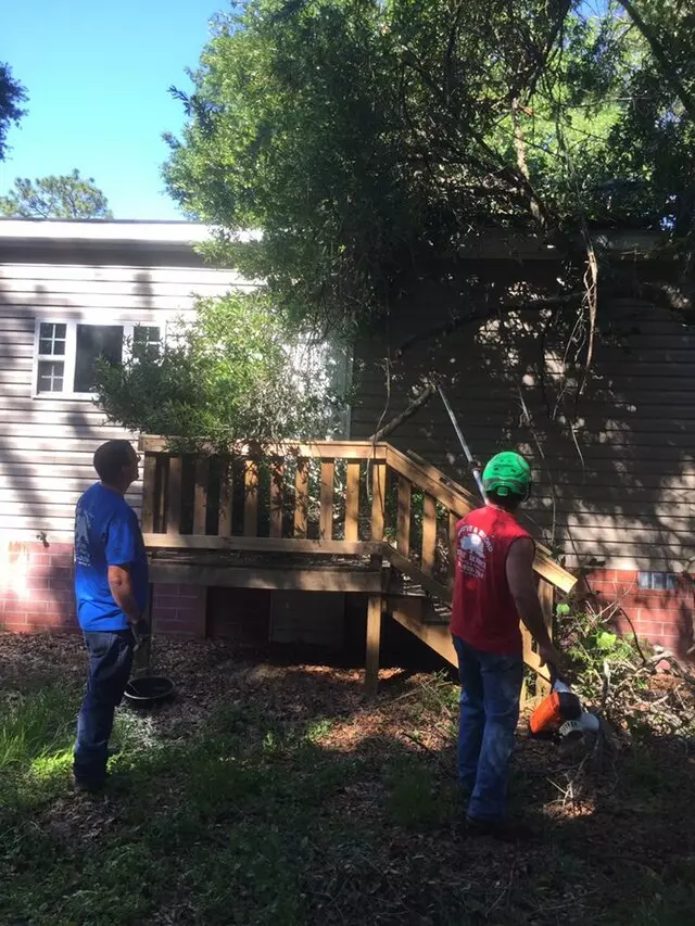 Above and Beyond Tree Services