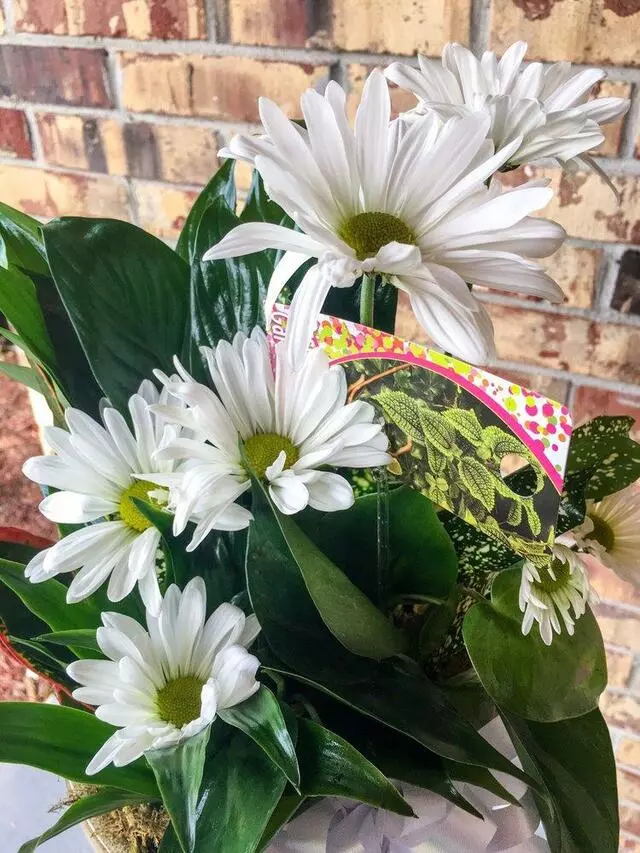 Arlington Flower Shop