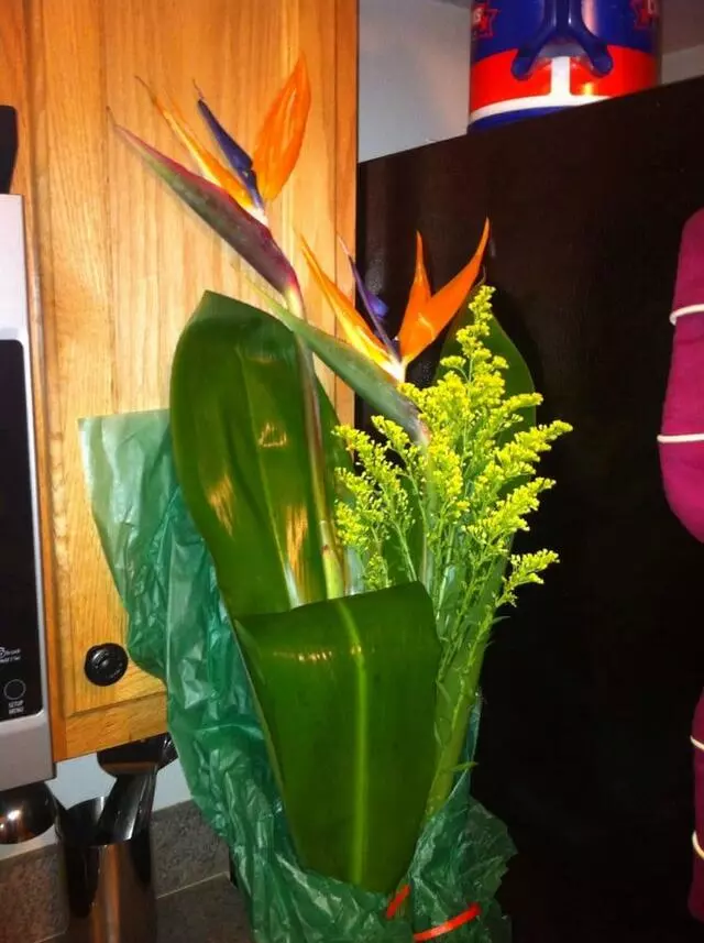 Arlington Flower Shop