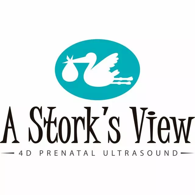 A Stork’s View