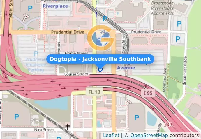 Dogtopia - Jacksonville Southbank