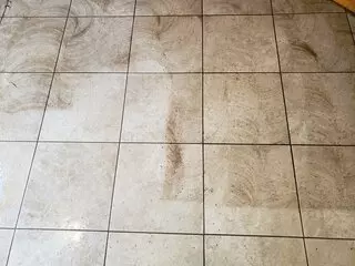 Superior Carpet Cleaning of Jacksonville