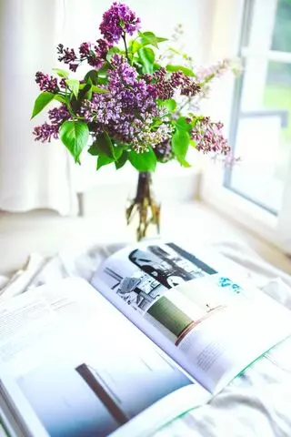 Gifted home care Agency