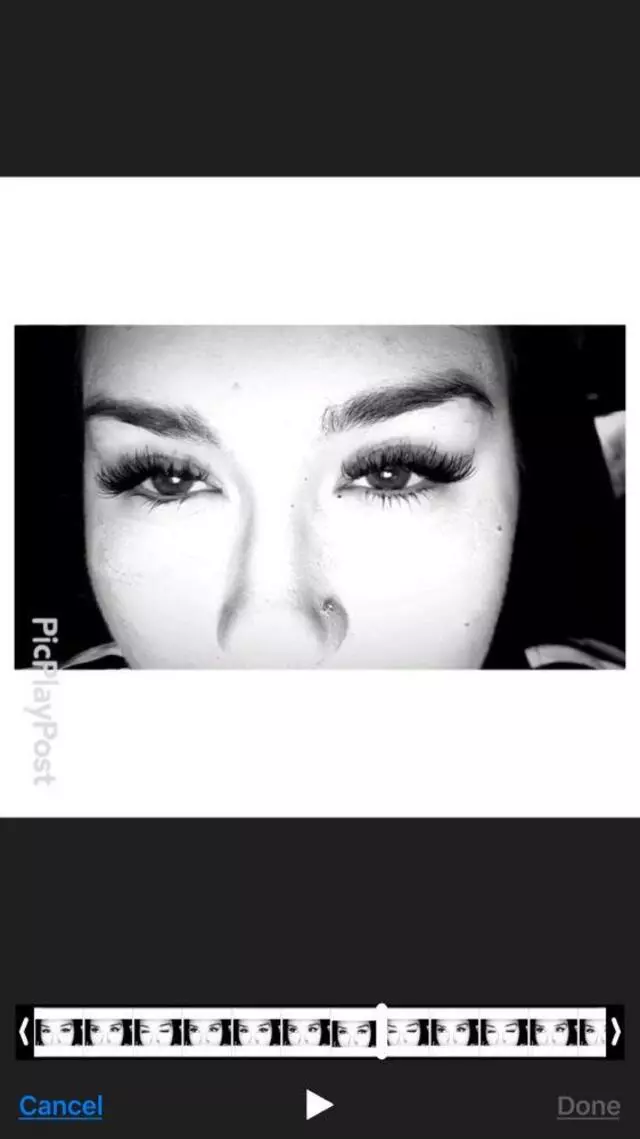Azja Lash Bar