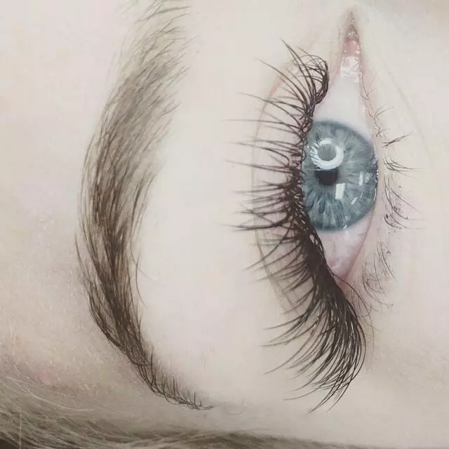 Azja Lash Bar