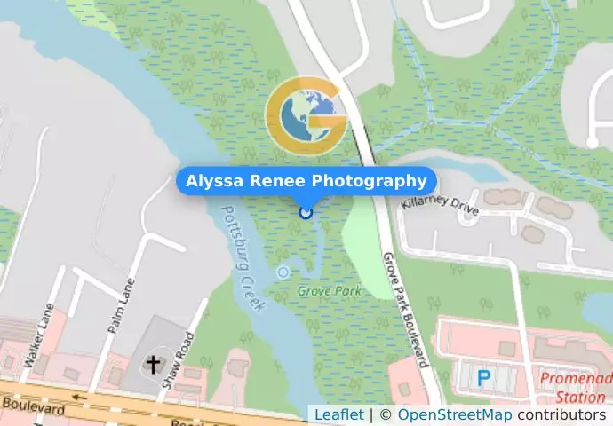 Alyssa Renee Photography