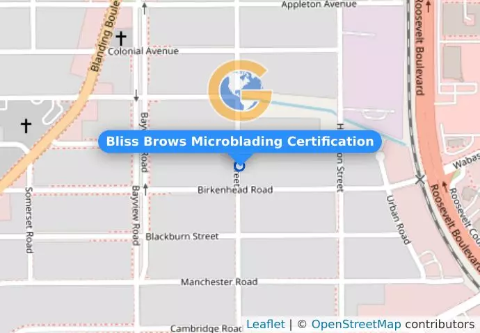 Bliss Brows Microblading Certification