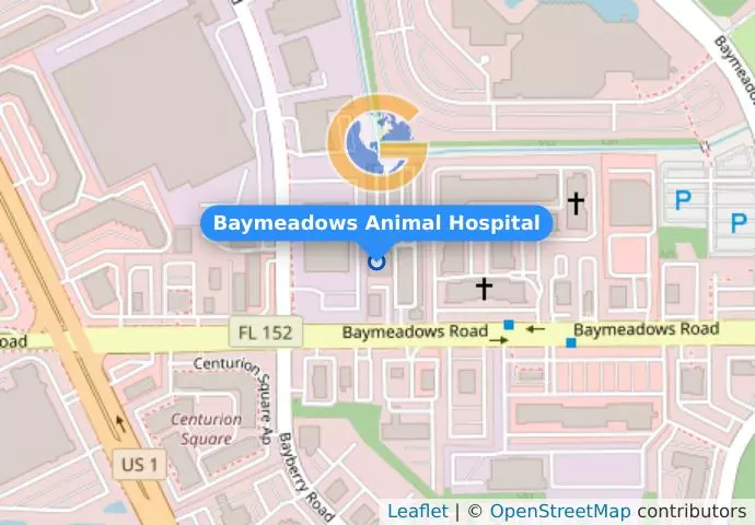 Baymeadows Animal Hospital