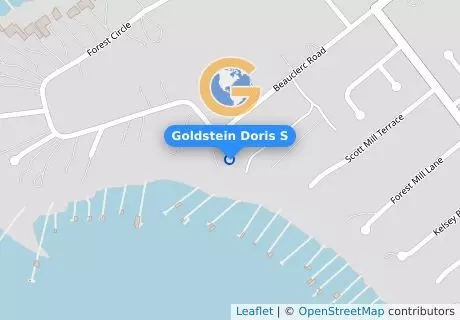 Goldstein Doris S