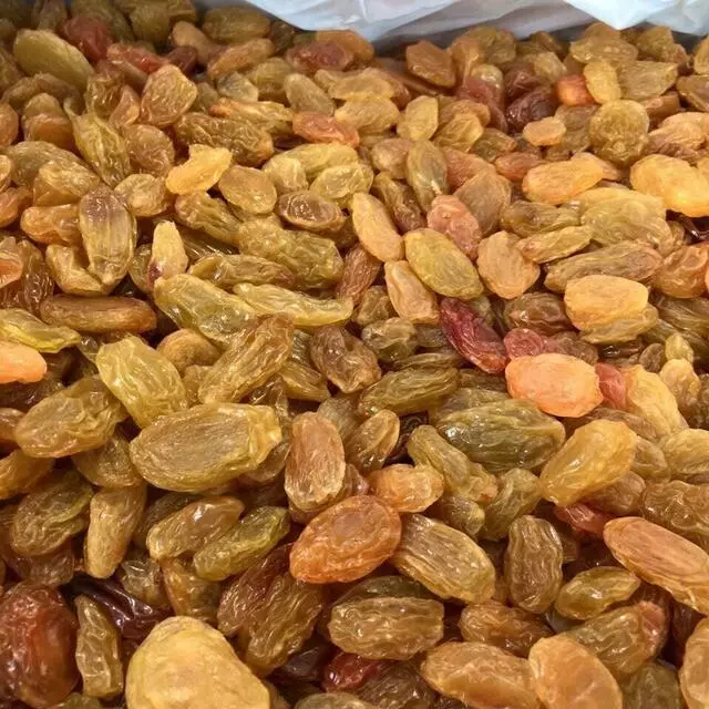 Aladdin Store