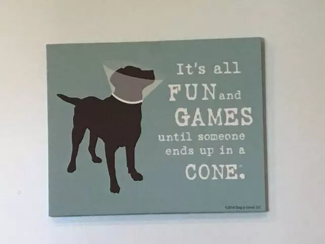 Atlantic Veterinary Hospital