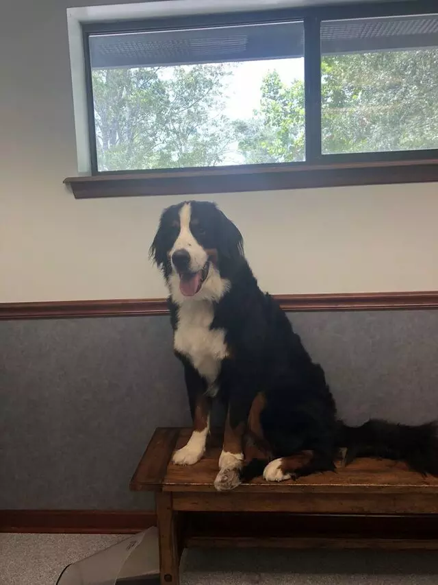 Atlantic Veterinary Hospital