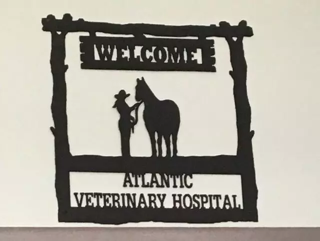Atlantic Veterinary Hospital