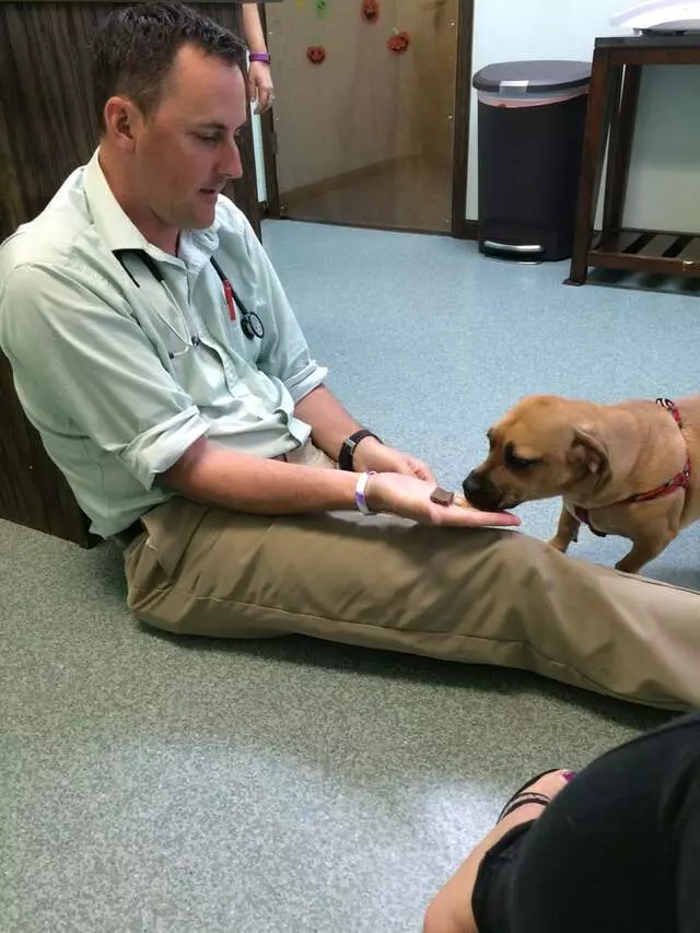 Atlantic Veterinary Hospital