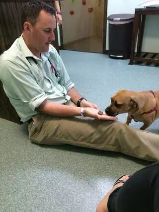 Atlantic Veterinary Hospital