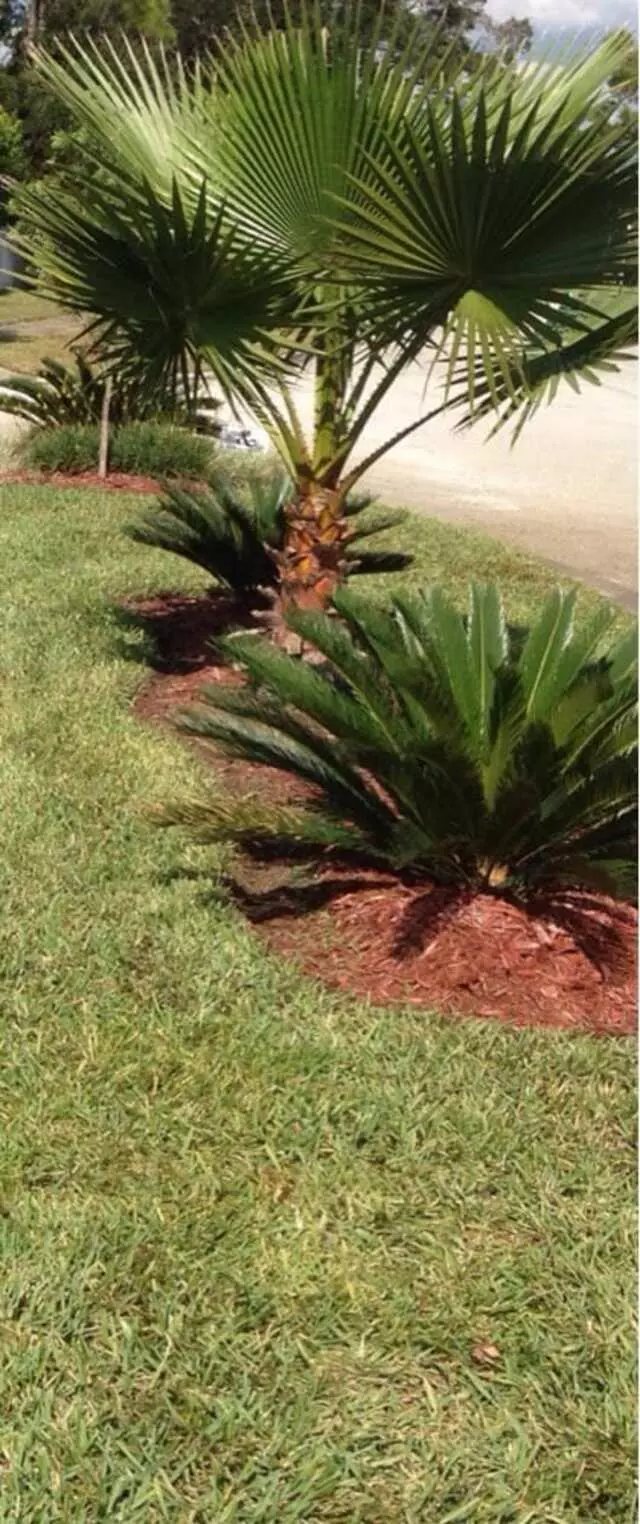 A Landmark Lawn