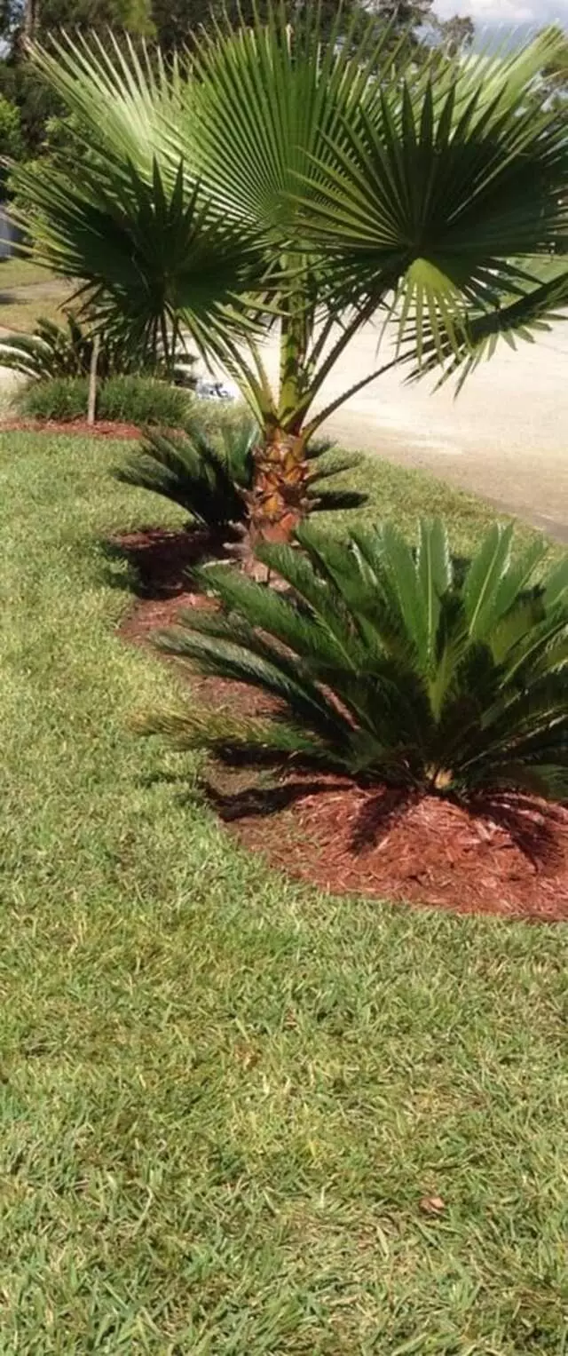 A Landmark Lawn