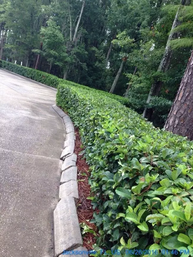 A Landmark Lawn