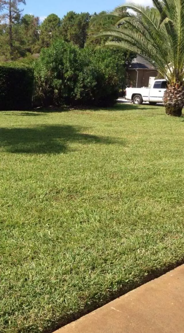 A Landmark Lawn