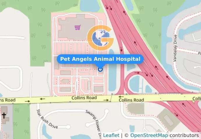Pet Angels Animal Hospital