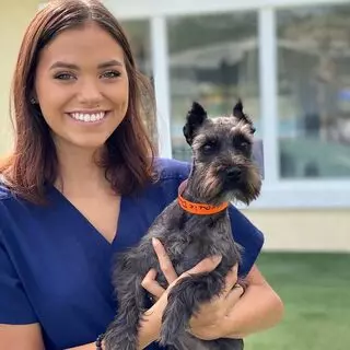 Pet Paradise Jacksonville Airport