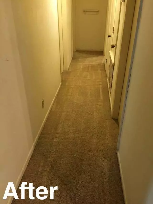 All Cleaning Services