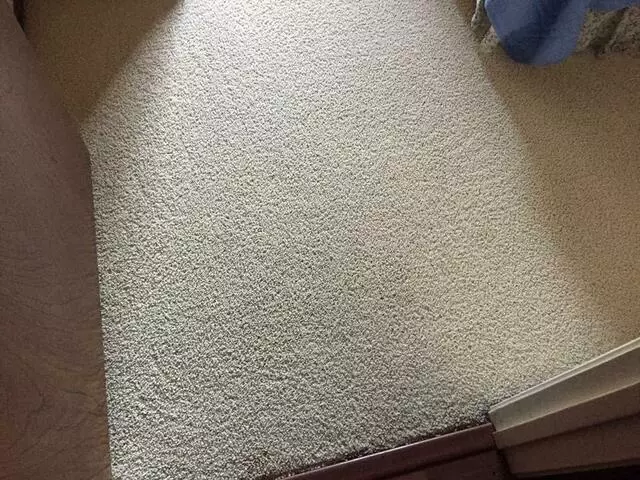 All Cleaning Services