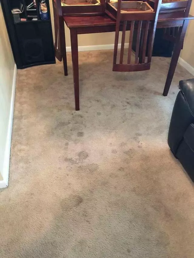 All Cleaning Services
