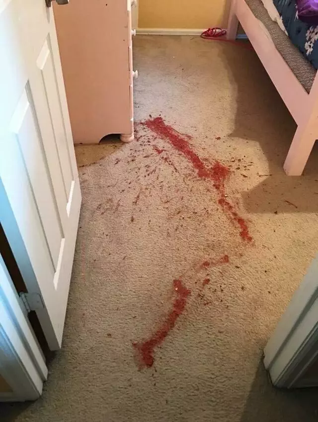 All Cleaning Services