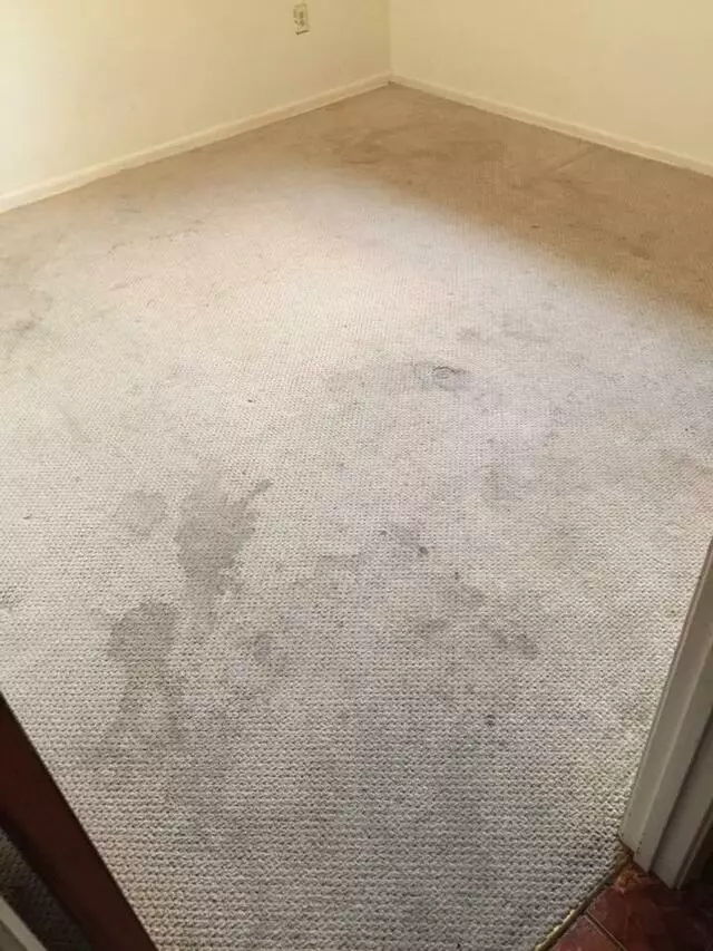 All Cleaning Services