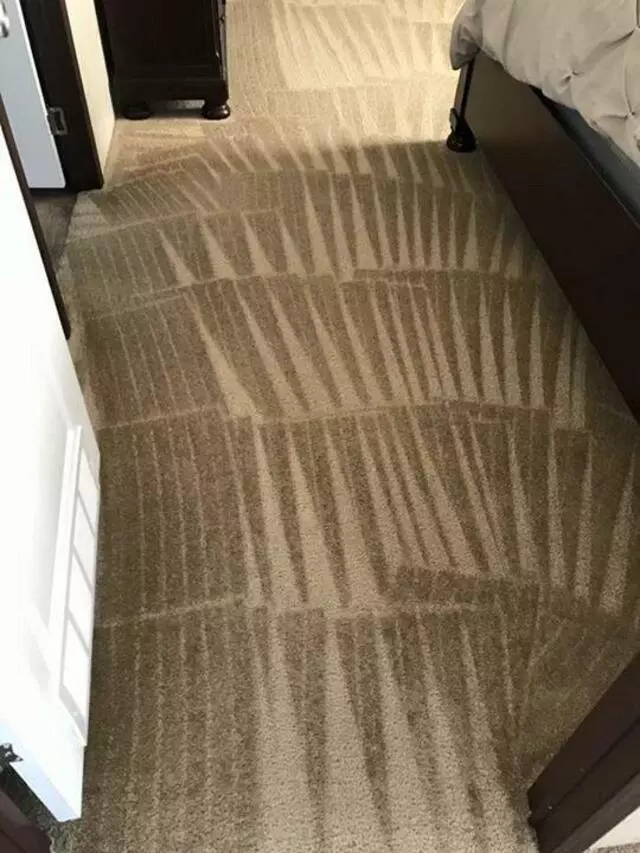 All Cleaning Services