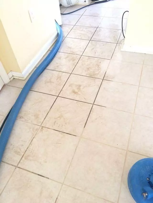 All Cleaning Services