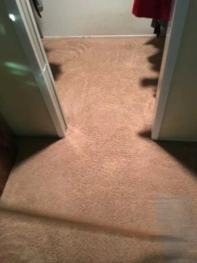 All Cleaning Services