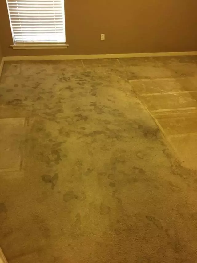 All Cleaning Services