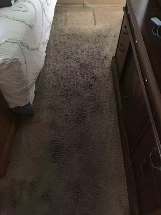 All Cleaning Services