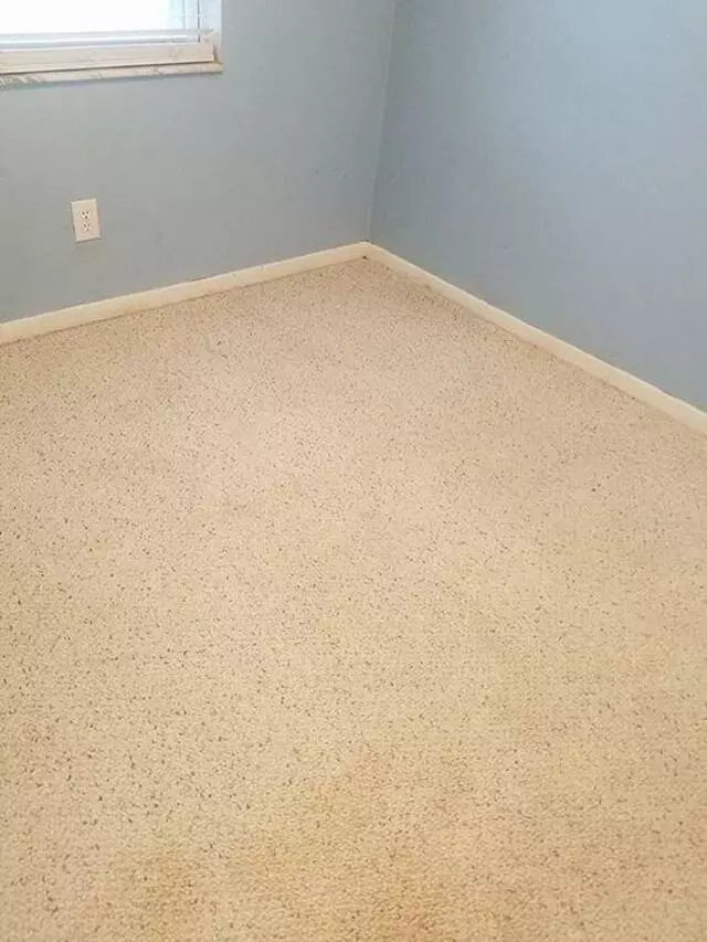 All Cleaning Services