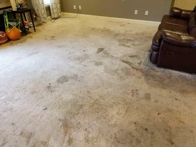 All Cleaning Services