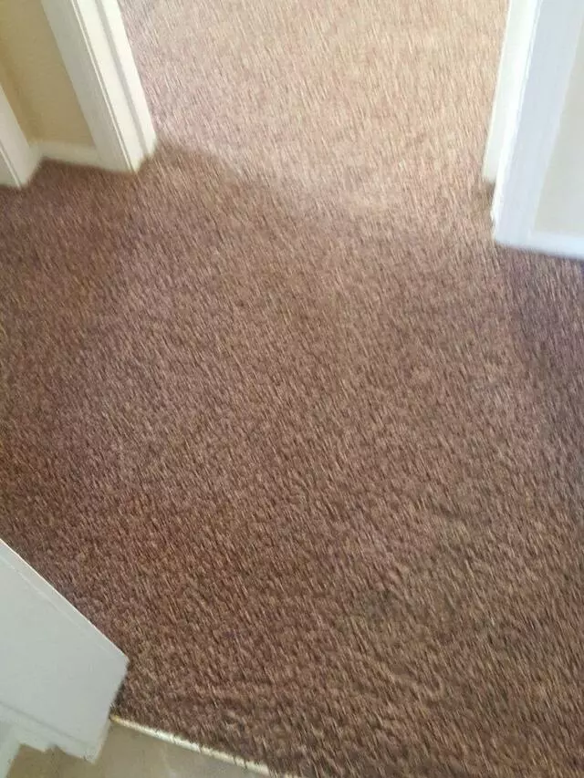 All Cleaning Services