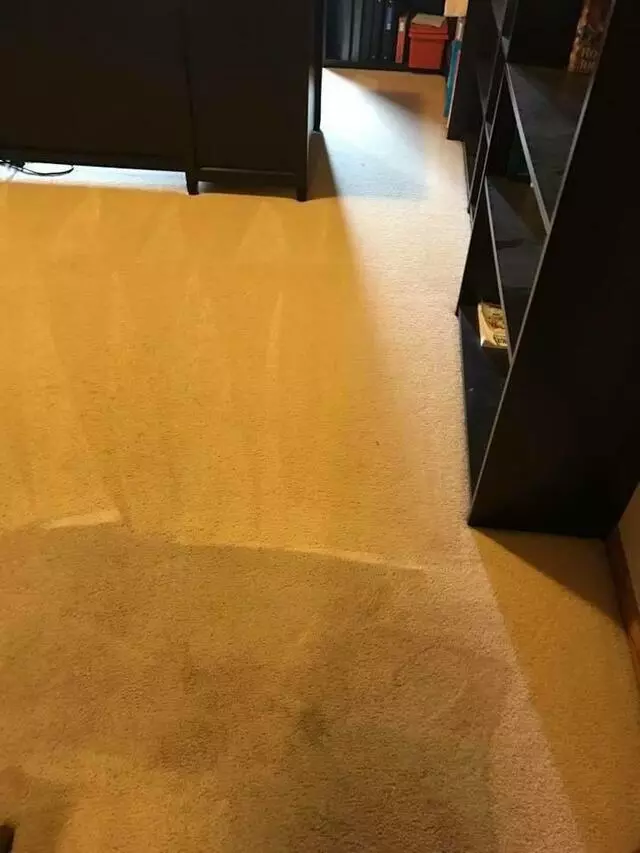 All Cleaning Services