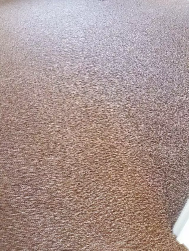 All Cleaning Services