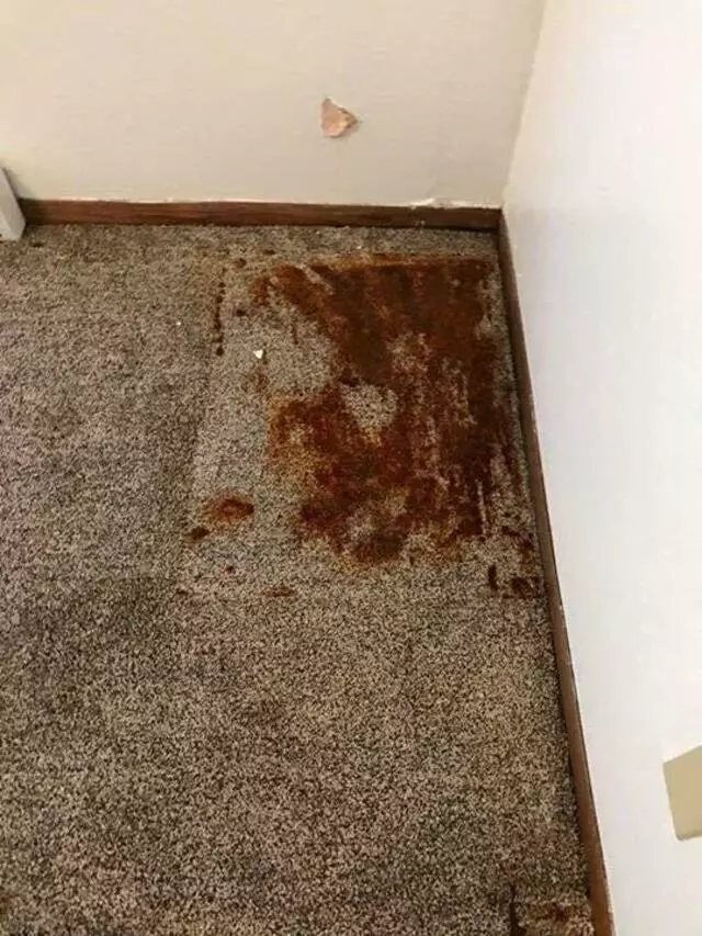 All Cleaning Services