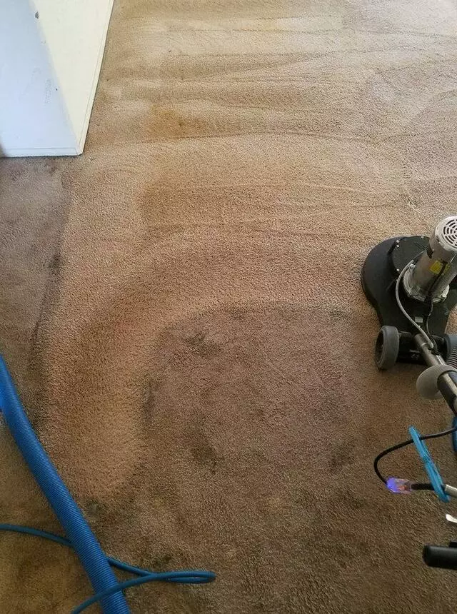 All Cleaning Services