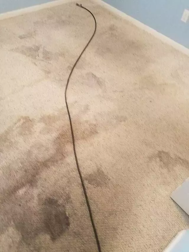 All Cleaning Services