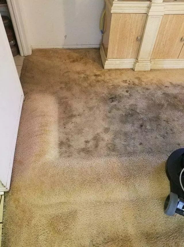 All Cleaning Services